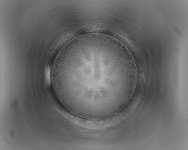 X0000115820022200911131454