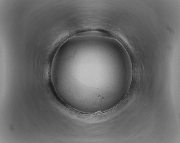 X0000115820023200911131454