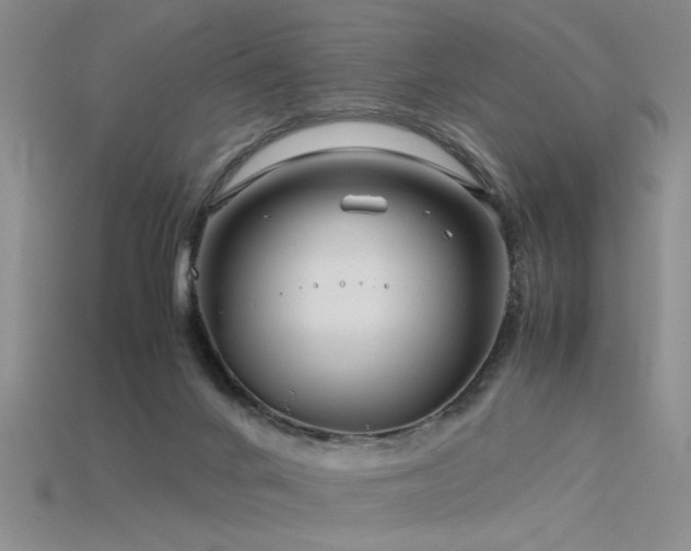 X0000115820024200911131454