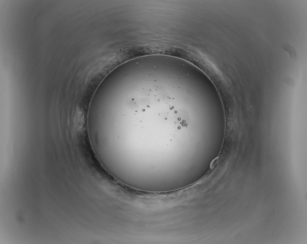 X0000115820025200911131454