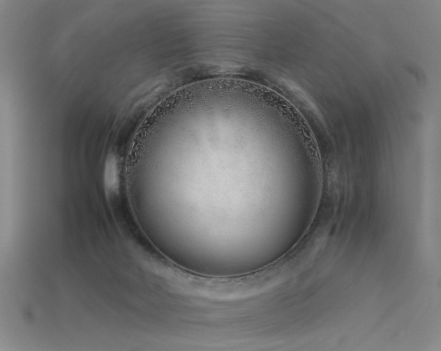 X0000115820026200911131454