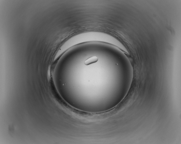 X0000115820028200911131454