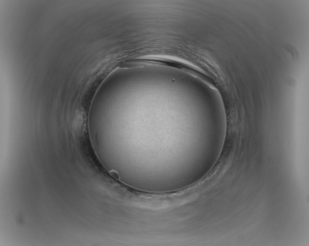 X0000115820029200911131454