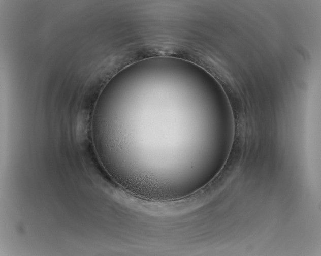 X0000115820030200911131454