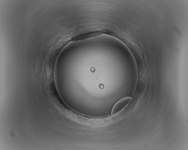 X0000115820031200911131454