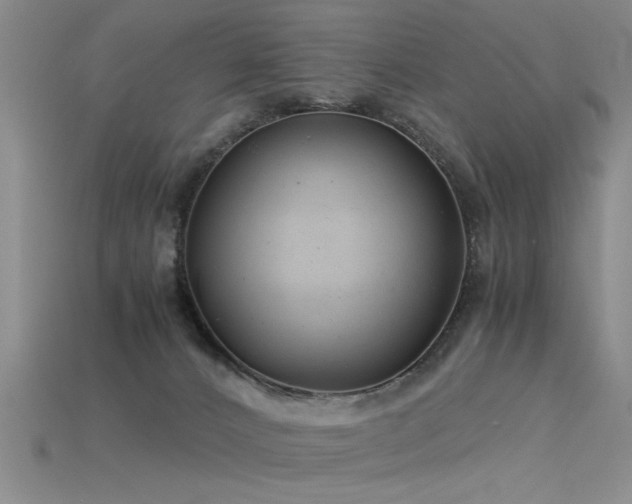 X0000115820032200911131454