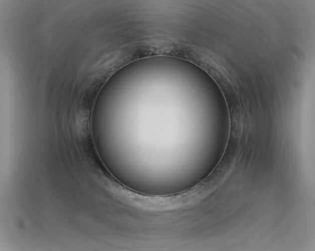 X0000115820034200911131454