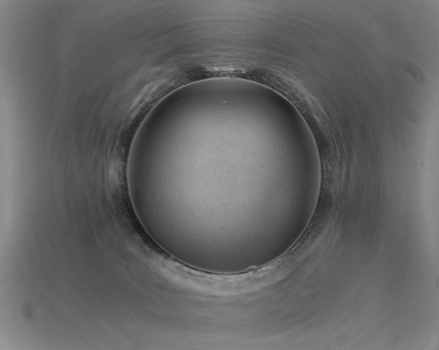 X0000115820035200911131454