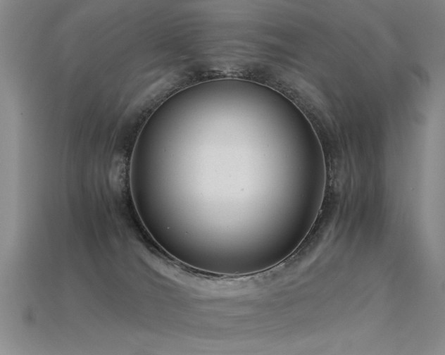 X0000115820036200911131454