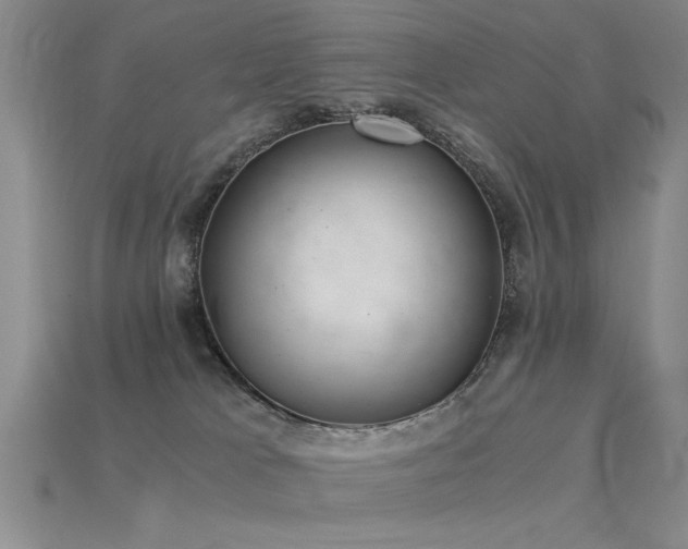 X0000115820037200911131454