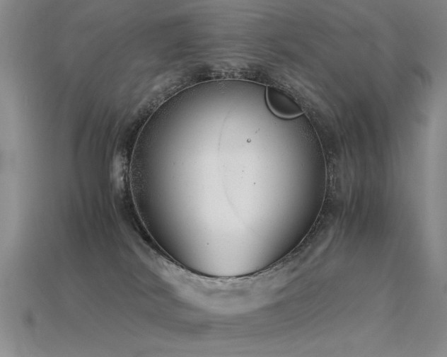 X0000115820038200911131454