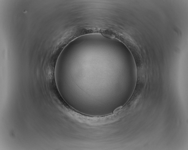 X0000115820039200911131454