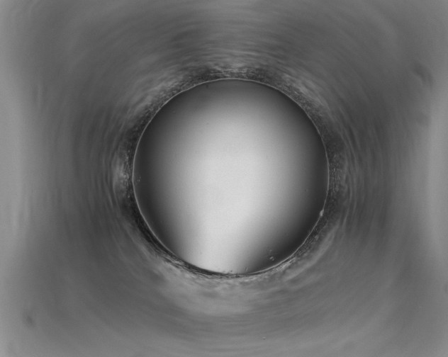 X0000115820040200911131454