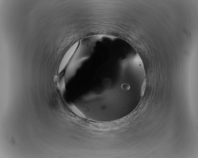 X0000115820041200911131454