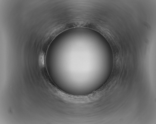 X0000115820042200911131454