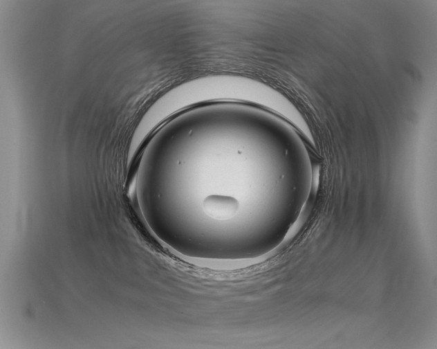 X0000115820043200911131454