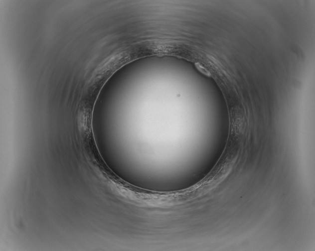 X0000115820044200911131453