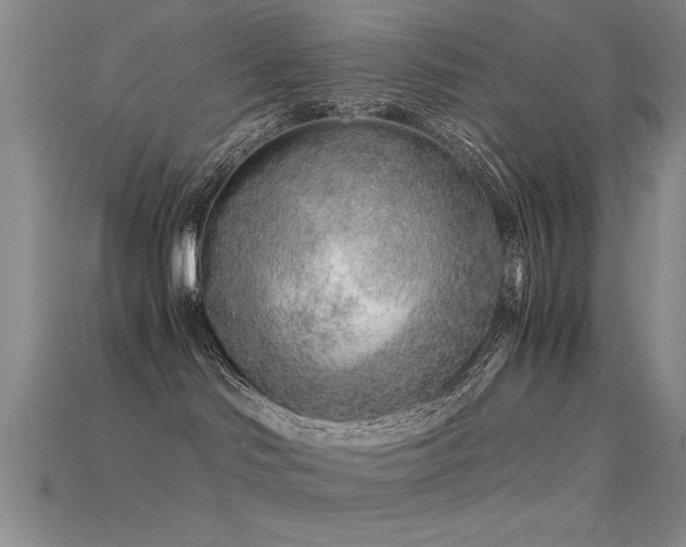 X0000115820046200911131453