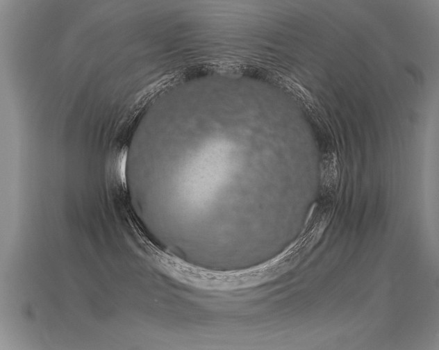 X0000115820047200911131453