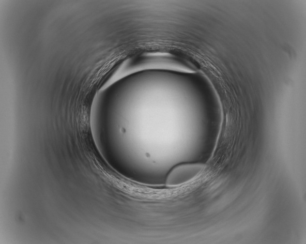 X0000115820048200911131453