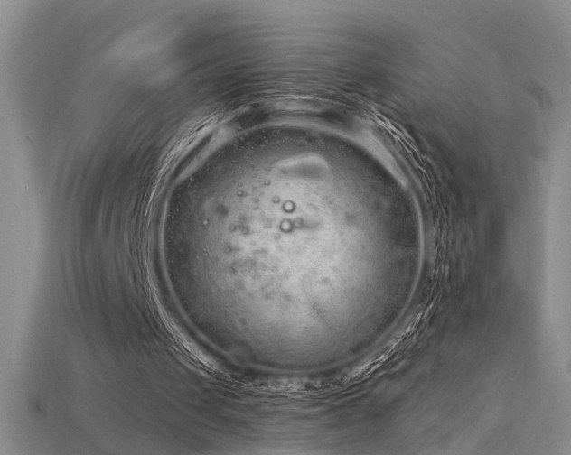 X0000115820049200911131452