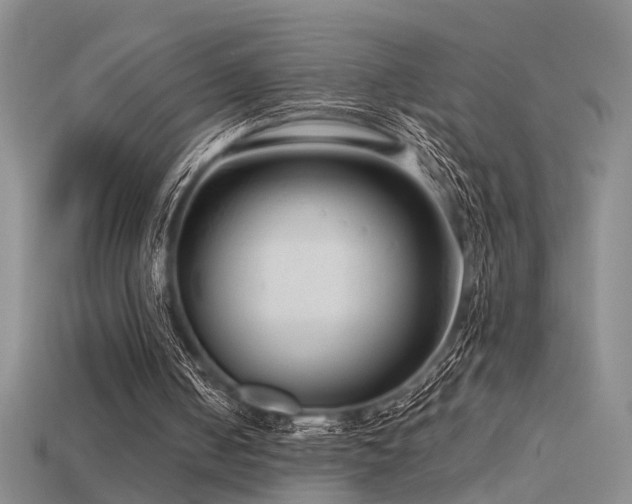 X0000115820050200911131452