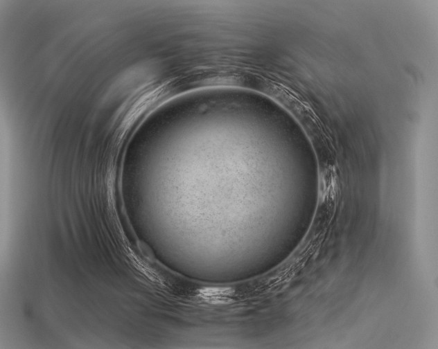 X0000115820051200911131453