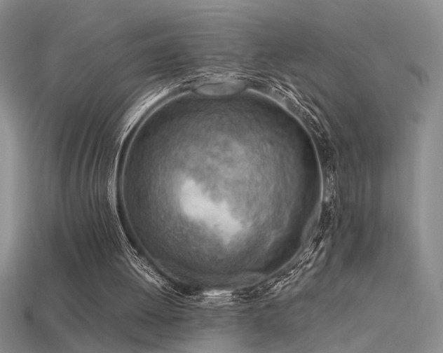 X0000115820052200911131453