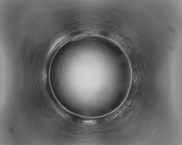 X0000115820053200911131453