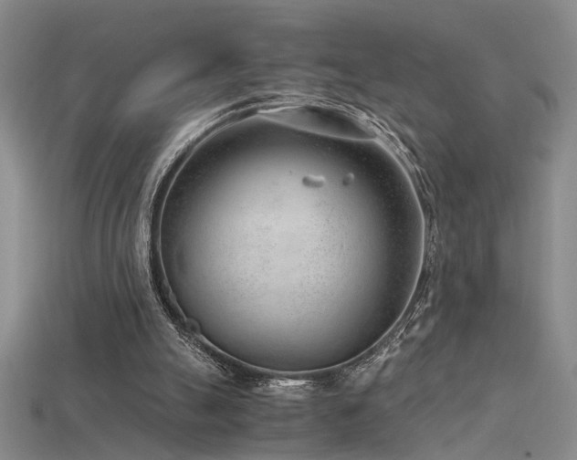 X0000115820055200911131453