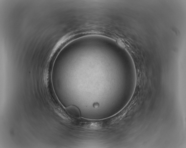 X0000115820056200911131453