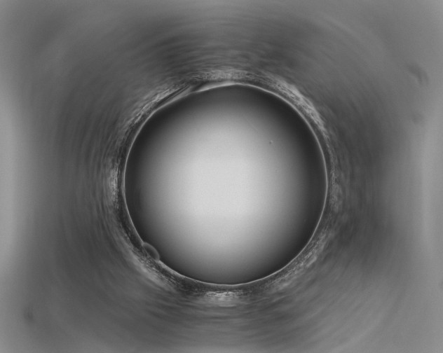 X0000115820057200911131453