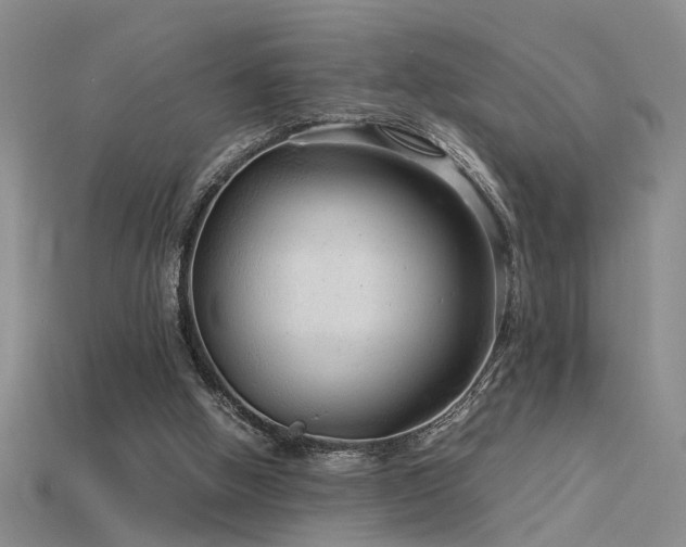 X0000115820058200911131453