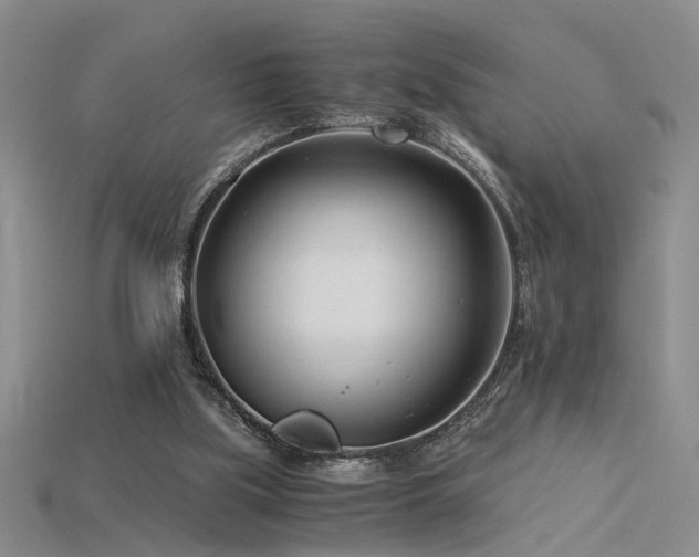 X0000115820059200911131453