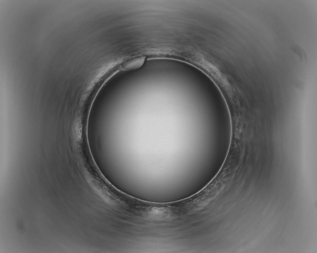 X0000115820060200911131453