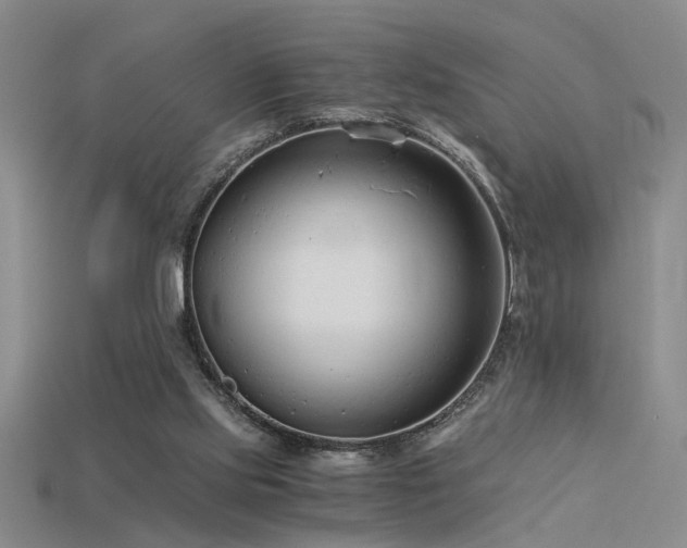 X0000115820061200911131453