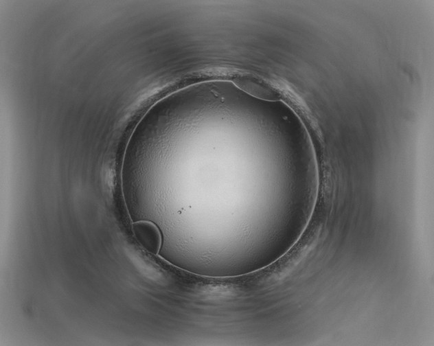 X0000115820063200911131453