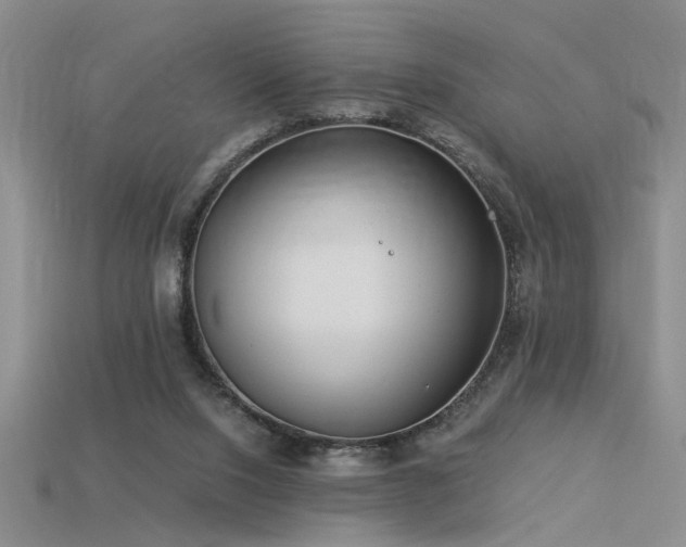 X0000115820064200911131453