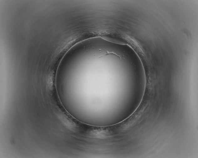 X0000115820065200911131453