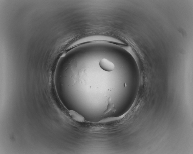 X0000115820066200911131453