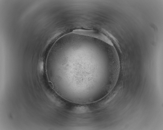 X0000115820067200911131453