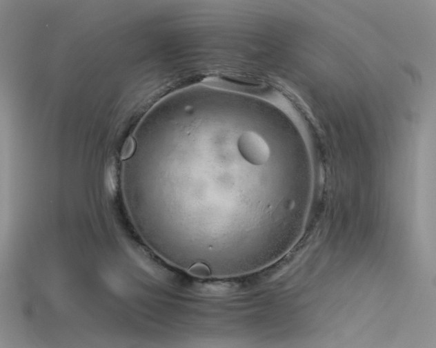 X0000115820069200911131453