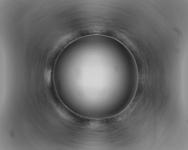 X0000115820070200911131453