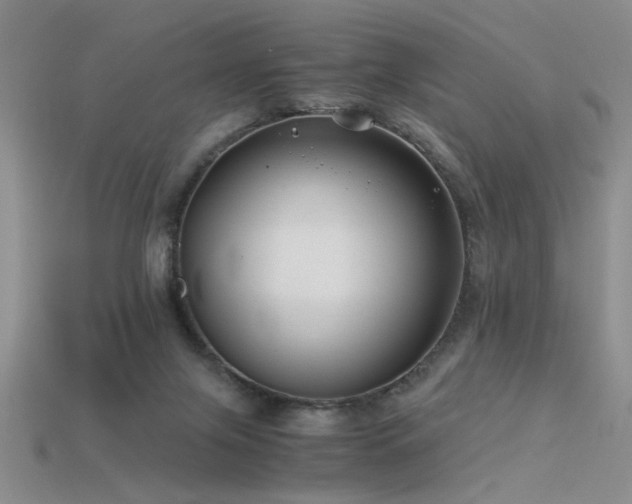 X0000115820071200911131453