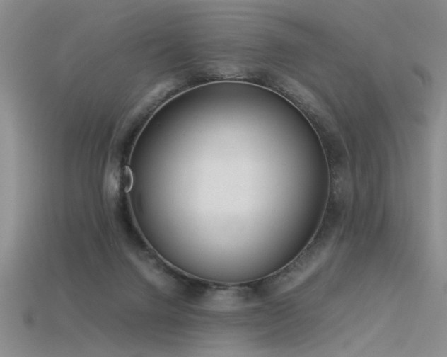 X0000115820072200911131453