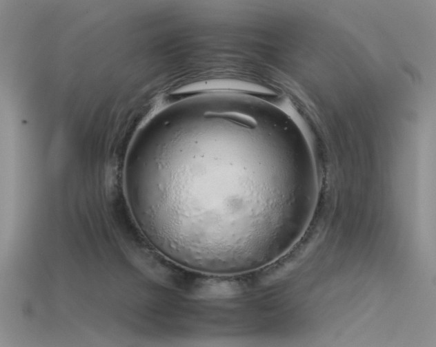 X0000115820073200911131453