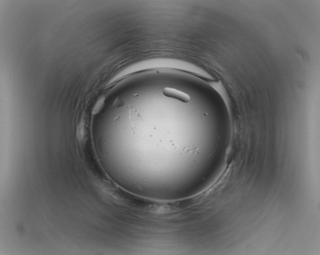 X0000115820074200911131453