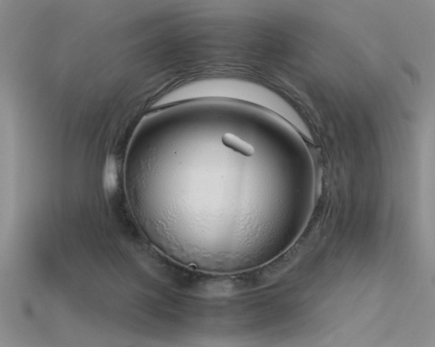 X0000115820075200911131453