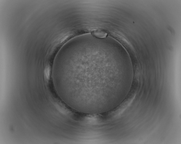 X0000115820076200911131453