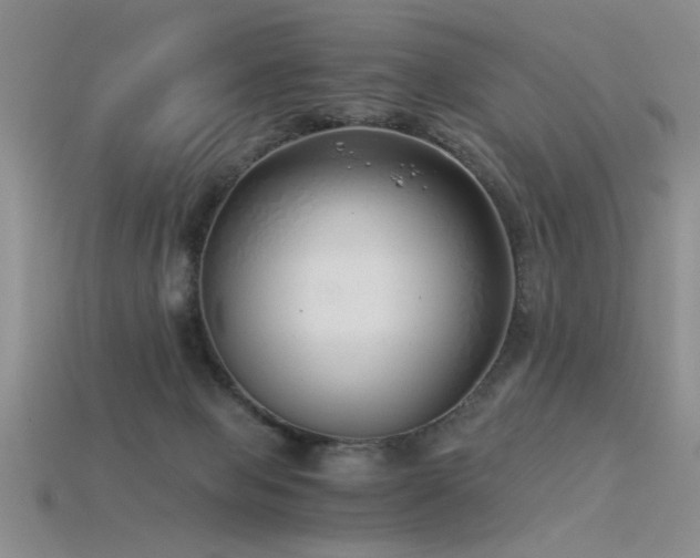 X0000115820077200911131453